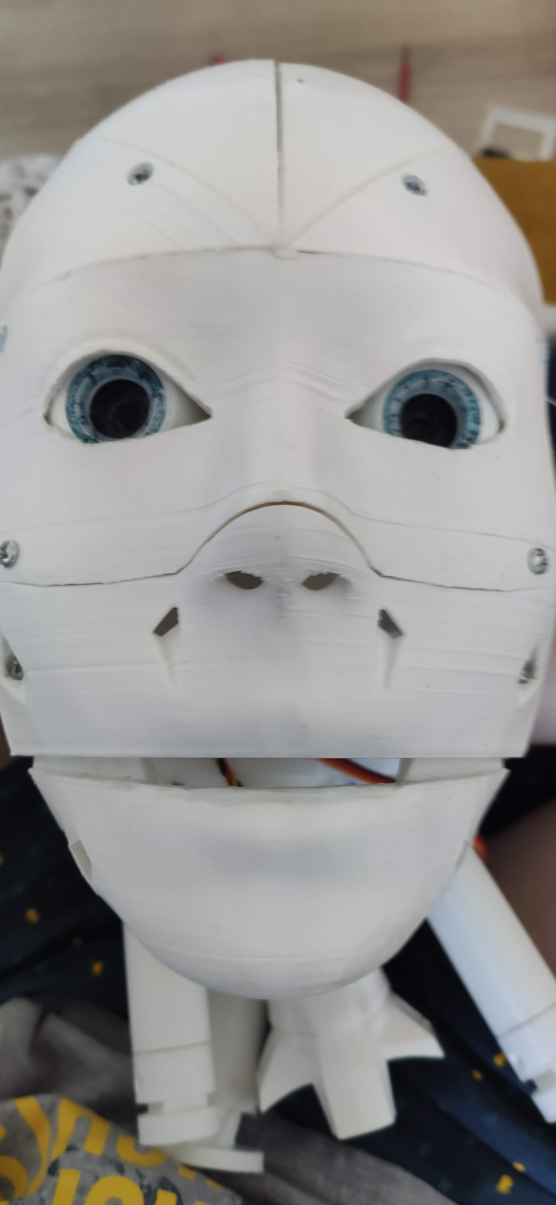 Tête du robot InMoov entièrement assemblée avec ses globes oculaires motorisés.
