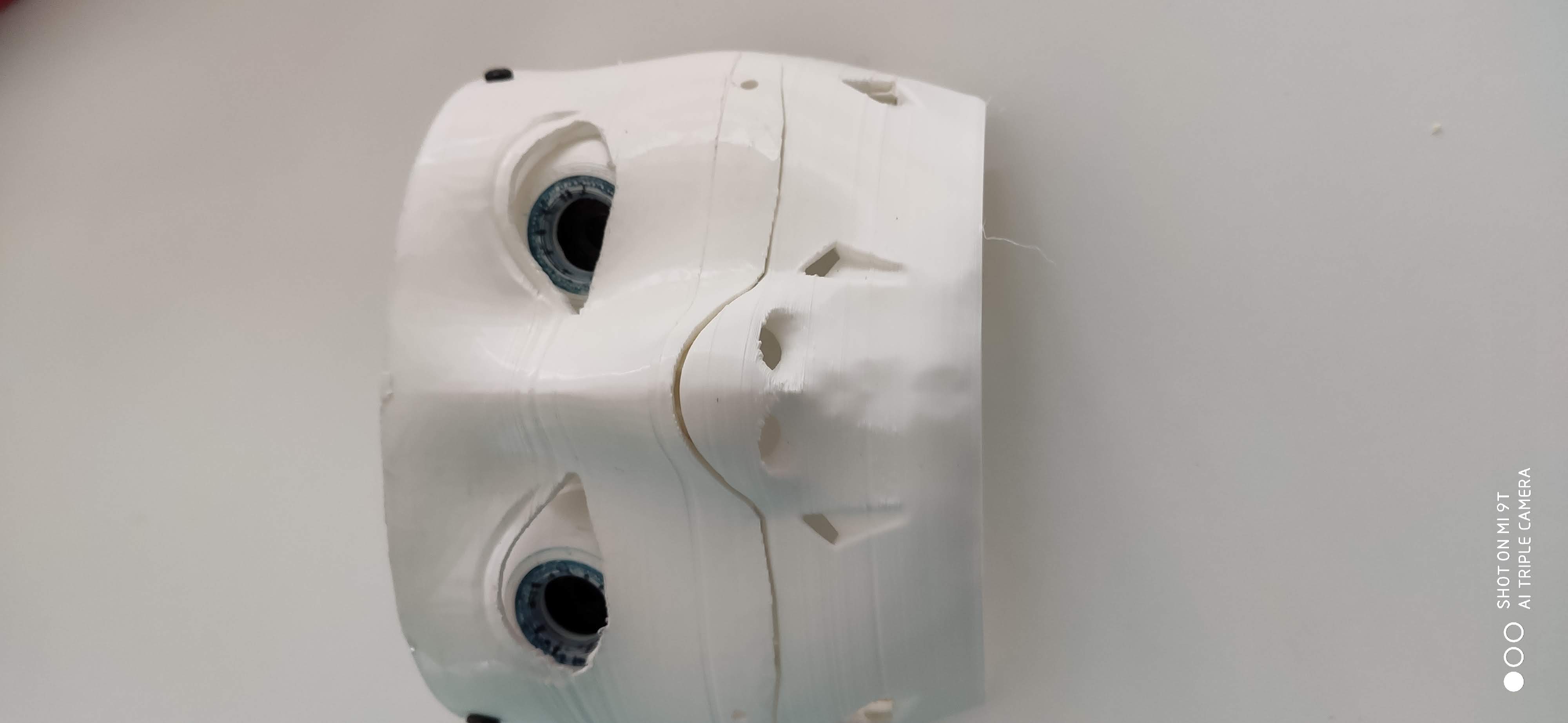 Sous-ensemble du masque facial d'InMoov avec les yeux et le nez montés sur l'établi.